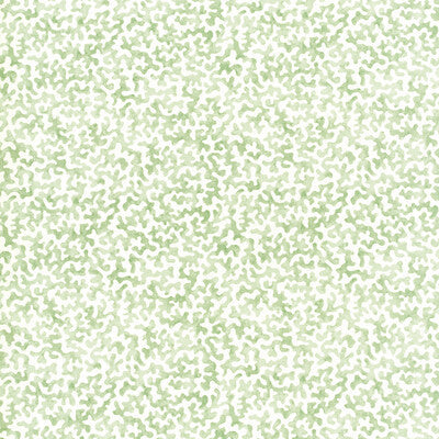 Kravet Basics Multipurpose CORALCOAST.30.0 Multipurpose COTTON - 100% Pakistan </p><p>Repeat: H: , V: 27.5 21 - My Fabric Connection -