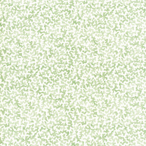 Coralcoast Sage CORALCOAST.30.0 by Kravet Basics Fabric