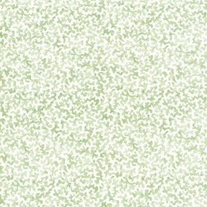 Coralcoast Sage CORALCOAST.30.0 by Kravet Basics Fabric