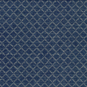 Corey 3 Blueberry by Crypton Fabric