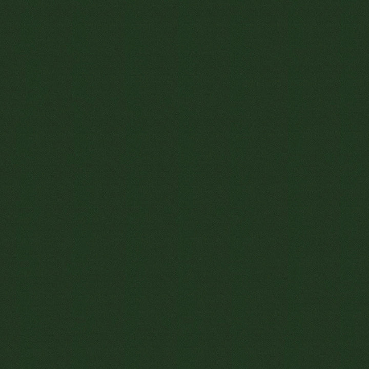 Crepe 208 Green by ABBEYSHEA Fabric 100% Polyester China 420,000 Double Rubs (Wyzenbeek) </p><p>Repeat: Horizontal: and Vertical: 57" (144 cm) - Fabric Carolina -