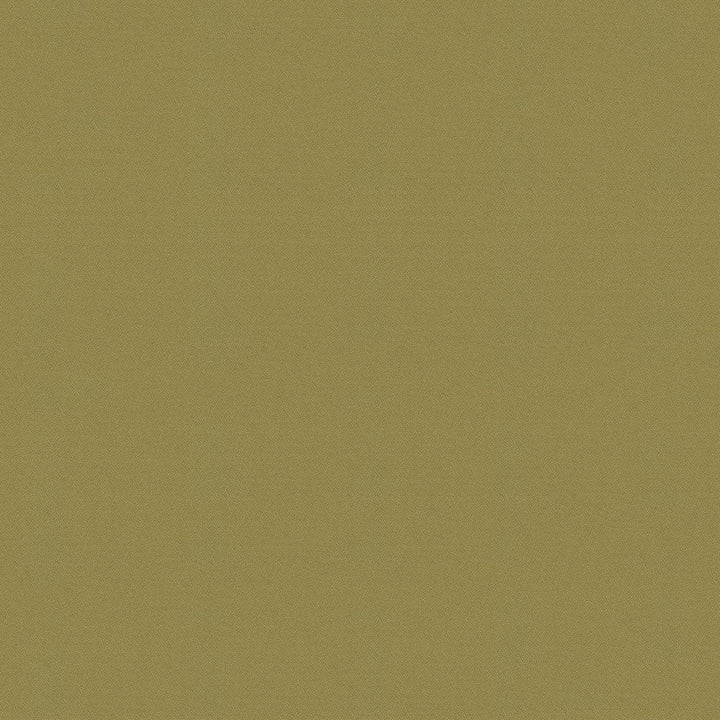 Crepe 64 Eucalyptus by ABBEYSHEA Designer Fabric 100% Polyester China 420,000 Double Rubs (Wyzenbeek) </p><p>Repeat: Horizontal: and Vertical: 57" (144 cm) - Swanky Fabrics -