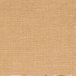 Corrado Butterscotch by Norbar Designer Fabric CABOT 100% POLYESTER INDIA 55 - Swanky Fabrics -