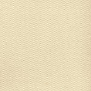 Cosmo Natural by Norbar Fabric Color/BEIGE 100% COTTON SOUTH KOREA 12,000 WYZENBEEK 54 - Fabric Carolina -