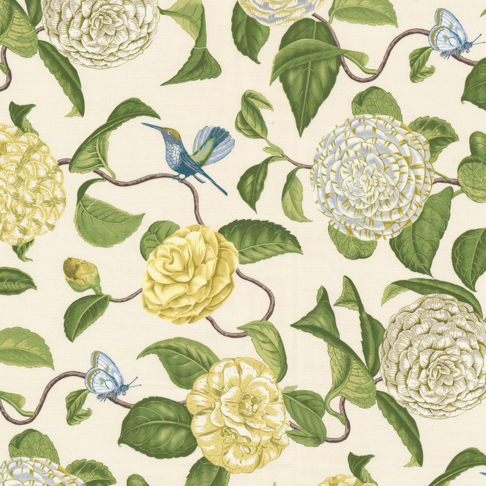 Cosset 1 Seedling by Stout Designer Fabric RAINBOW LIBRARY SAGE/CYPRESS 100%COT PERU Horizontal: 13.500 and Vertical: 27.000 54 in - Swanky Fabrics -