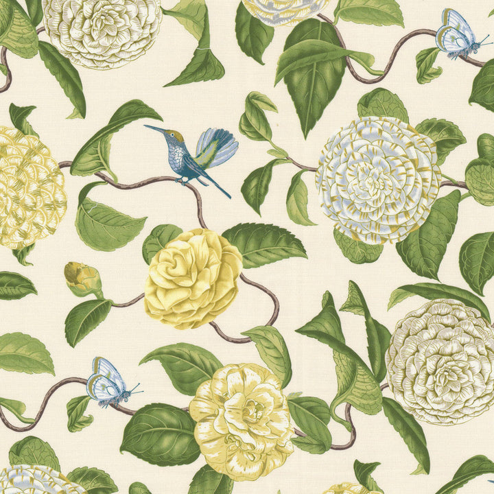 Cosset 1 Seedling by Stout Designer Fabric RAINBOW LIBRARY SAGE/CYPRESS 100%COT PERU Horizontal: 13.500 and Vertical: 27.000 54 in - Swanky Fabrics -