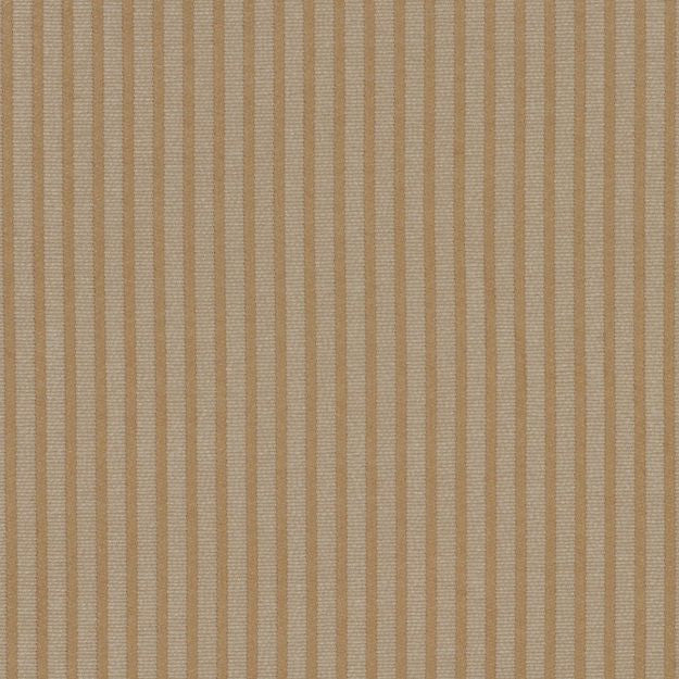 COSTA 11J3754 by JF Fabric Elegant Attire (Black) 59% Rayon, 41% Polyester United States Horizontal: 0.313 and Vertical: 54 - Fabric Carolina -