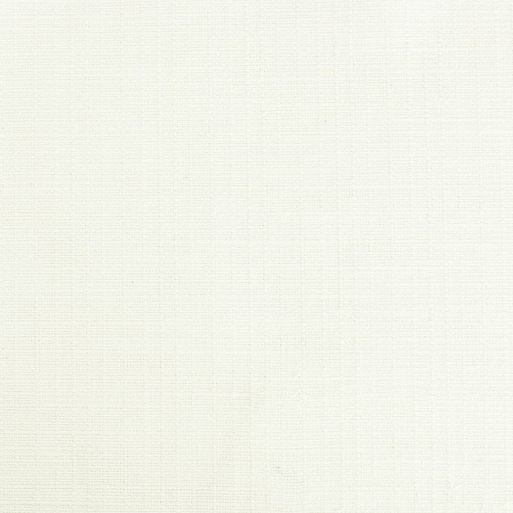 Cotillion 2 Eggshell by Stout Fabric Color My Window Frost/Alabaster 65% Cotton 35% Polyester TAIWAN WYZENBEEK 30 000 DOUBLE RUB WEAR TEST (HEAVY DUTY) Horizontal: 0 and Vertical: 0 54 in - Fabric Carolina -