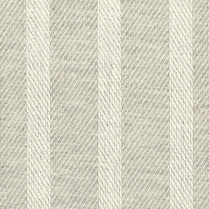 Cousin 9 Silver by Sunbrella Fabric