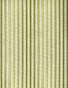 Cove Jungle by Norbar Fabric ARCADE 100% COTTON 1/2"H 55 - Fabric Carolina -