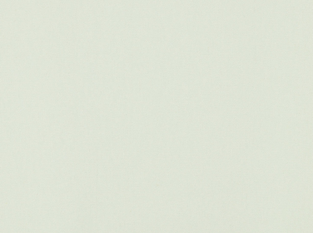 Cowden 130 White by Covington Fabric 100% COTTON TWILL India 10000 Horizontal: 0 and Vertical: 0 57 - Fabric Carolina -