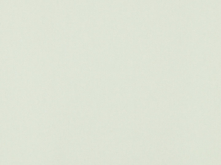 Cowden 130 White by Covington Fabric 100% COTTON TWILL India 10000 Horizontal: 0 and Vertical: 0 57 - Fabric Carolina -