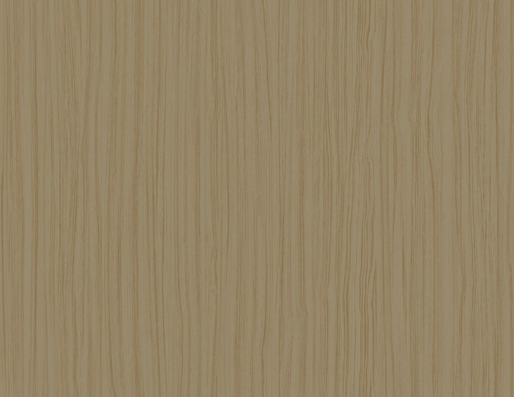 Salo Latte by Seabrook Wallpaper A Lot More Textures United States 60.75 0" 27" - Fabric Carolina -