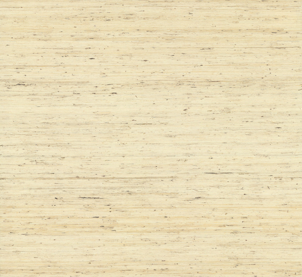 Arrowroot Off White Wallpaper by York Wallcoverings Water's Edge Resource Library Covers about 72 square feet 36-in by 24-ft long roll Unpasted 0 - Fabric Carolina -
