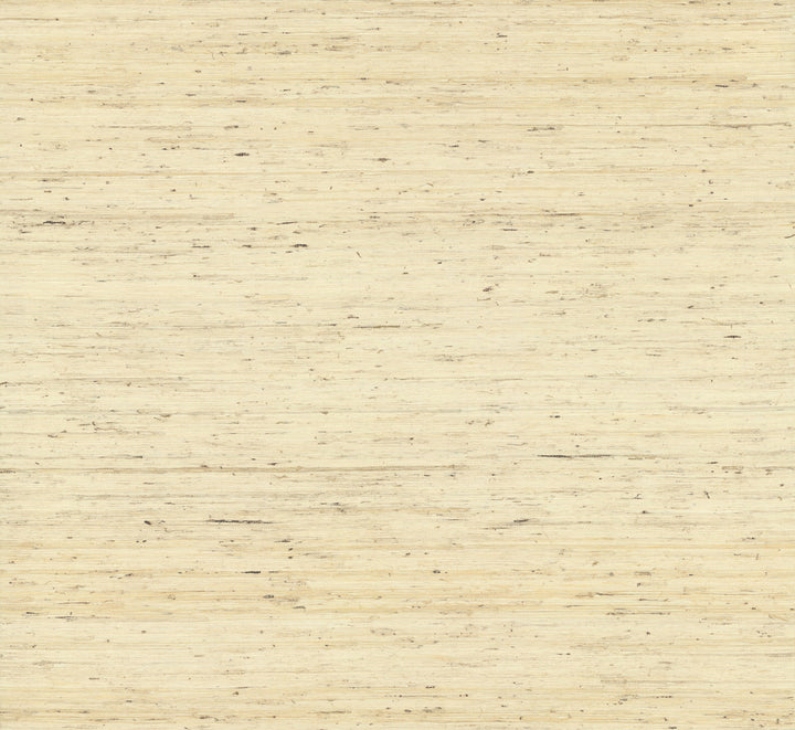 Arrowroot Off White Wallpaper by York Wallcoverings Water's Edge Resource Library Covers about 72 square feet 36-in by 24-ft long roll Unpasted 0 - Fabric Carolina -