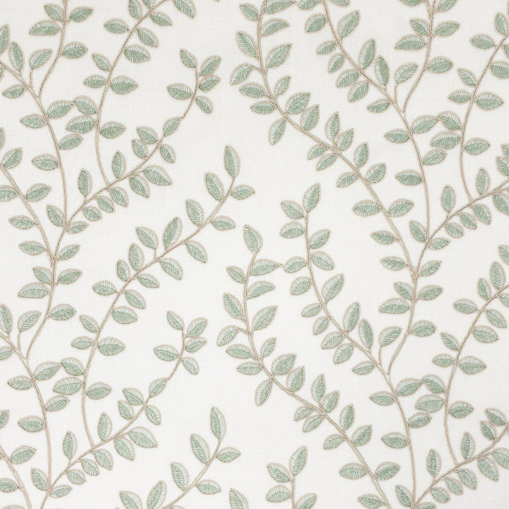 Creed 1 Aloe by Stout Fabric RAINBOW LIBRARY SPRING/EVERGREEN 100%POL %PEMB INDIA Horizontal: 13.000 and Vertical: 9.500 52 in - Fabric Carolina -