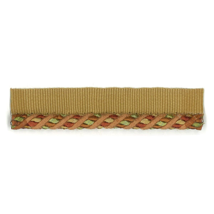 Cristabel 12 Tangerine by Stout Designer Trim ART OF DESIGN TRIM-2 CORDS 53%COT 47%SVI CHINA FLAME RETARDANT-U.F.A.C. CLASS 1 WYZENBEEK 12 000 DOUBLE RUB WEAR TEST (MEDIUM DUTY) Horizontal: 0.000 and Vertical: 0.000 0.25 in - Swanky Fabrics -