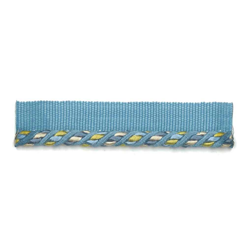 Cristabel 13 Cornflower by Stout Designer Trim ART OF DESIGN TRIM-2 CORDS 53%COT 47%SVI CHINA </p><p>Repeat: 0 0.25 in - Swanky Fabrics -
