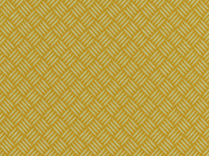 Criss Cross Citrine 831 by Covington Fabric 55% COTTON/45% POLYESTER TAI 50000 Horizontal: 1.25 and Vertical: 1.25 54 - Fabric Carolina -