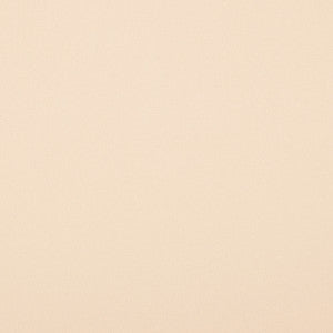 Crypton Home Burkes Eggshell by Magnolia Fabric