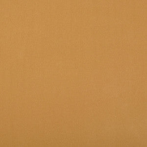 Crypton Home Burkes Husk by Magnolia Fabric