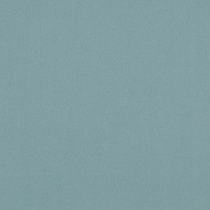 Crypton Home Burkes Powder by Magnolia Fabric