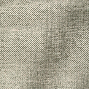 Crypton Home Wiley Eucalyptus by Magnolia Fabric