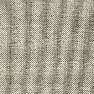 Crypton Home Wiley Eucalyptus by Magnolia Fabric