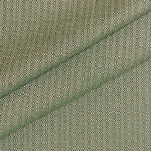Crypton Home Shugs Moss by Magnolia Fabric