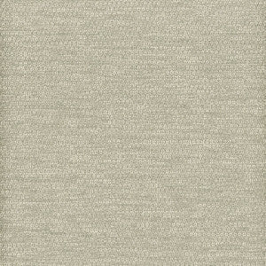 Curbside 1 Grey by Crypton Fabric
