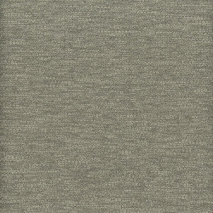 Curbside 2 Gunmetal by Crypton Fabric