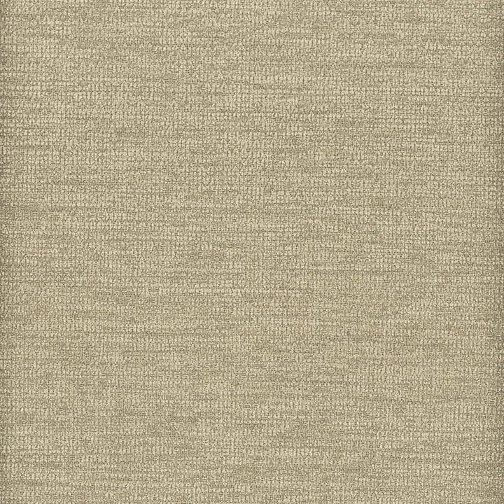 Curbside 3 Taupe by Crypton Fabric SOLID FOUNDATIONS 100%POL CHINA FLAME RETARDANT-CA BULLETIN 117-SECTION E FLAME RETARDANT-N.F.P.A. 260A CLASS 1 WYZENBEEK 50 000 DOUBLE RUB WEAR TEST (HEAVY DUTY) Horizontal: 0 and Vertical: 0 54 in - Fabric Carolina -