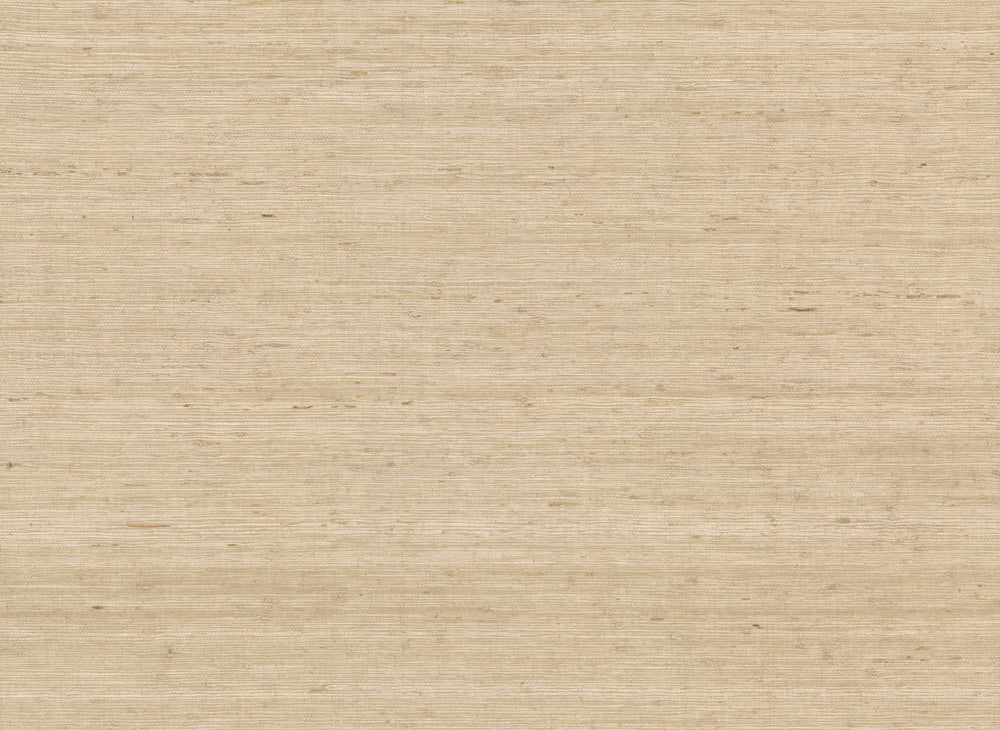 Arrowroot Cream Wallpaper by York Wallcoverings Grasscloth II Covers about 72 square feet 36-in by 24-ft long roll Unpasted 0 - Fabric Carolina -