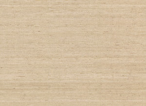 Arrowroot Cream Wallpaper by York Wallcoverings