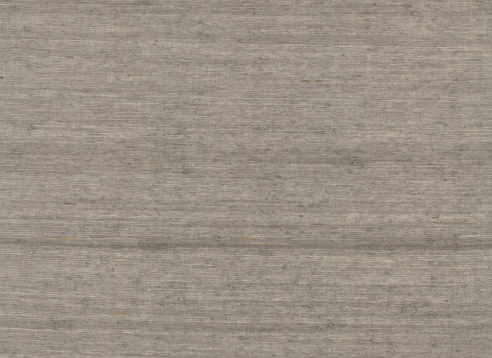 Arrowroot Brown Wallpaper by York Wallcoverings Water's Edge Resource Library Covers about 72 square feet 36-in by 24-ft long roll Unpasted 0 - Fabric Carolina -