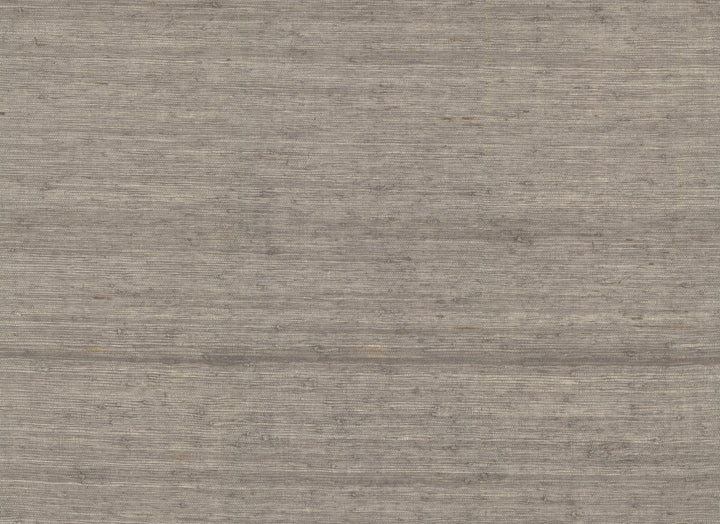Arrowroot Brown Wallpaper by York Wallcoverings Water's Edge Resource Library Covers about 72 square feet 36-in by 24-ft long roll Unpasted 0 - Fabric Carolina -