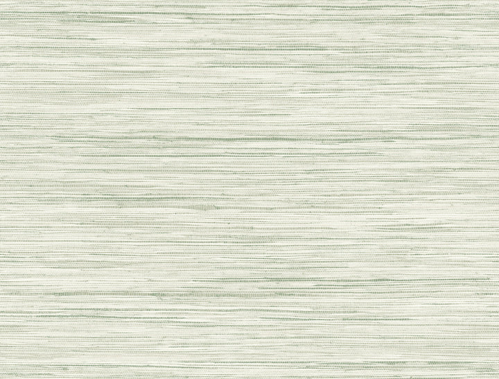 Bahiagrass Green Wallpaper by York Wallcoverings Earthy Tones Covers about 60.8 square feet 27-in by 27-ft long roll Prepasted 20.5 - Fabric Carolina -