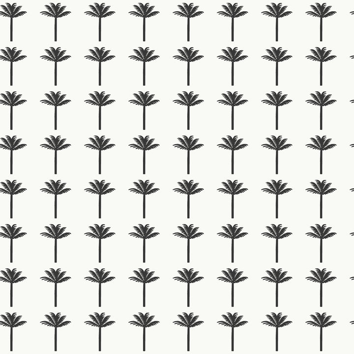 Palm Bay Black Wallpaper by York Wallcoverings Water's Edge Resource Library Covers about 56.4 square feet 20.5-in by 33-ft long roll Prepasted 20.5 - Fabric Carolina -