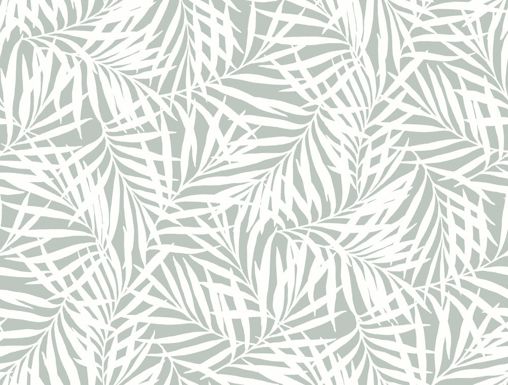 Oahu Fronds Light Green & White Wallpaper by York Wallcoverings Earthy Tones Covers about 60.8 square feet 27-in by 27-ft long roll Prepasted 20.5 - Fabric Carolina -