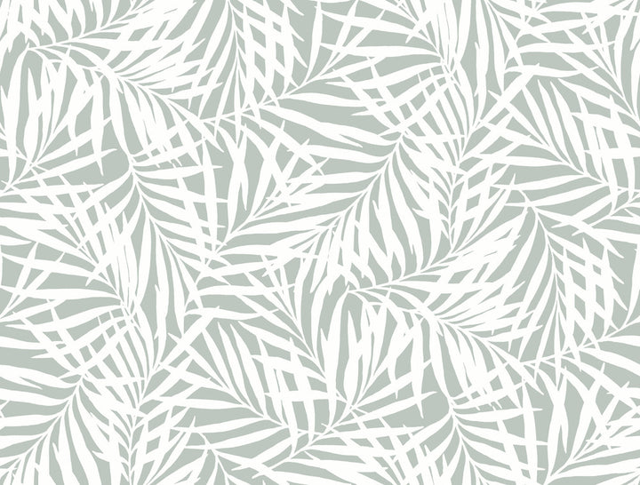 Oahu Fronds Light Green & White Wallpaper by York Wallcoverings Earthy Tones Covers about 60.8 square feet 27-in by 27-ft long roll Prepasted 20.5 - Fabric Carolina -