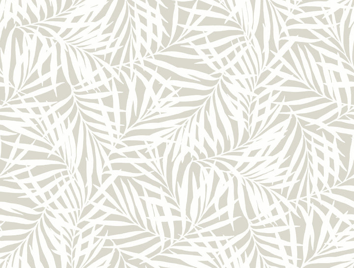 Oahu Fronds Cream & Off White Wallpaper by York Wallcoverings Water's Edge Resource Library Covers about 60.8 square feet 27-in by 27-ft long roll Prepasted 20.5 - Fabric Carolina -