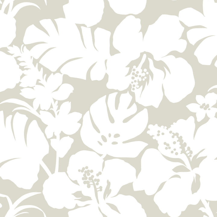 Hibiscus Arboretum Cream Wallpaper by York Wallcoverings Water's Edge Resource Library Covers about 56.4 square feet 20.5-in by 33-ft long roll Prepasted 20.5 - Fabric Carolina -