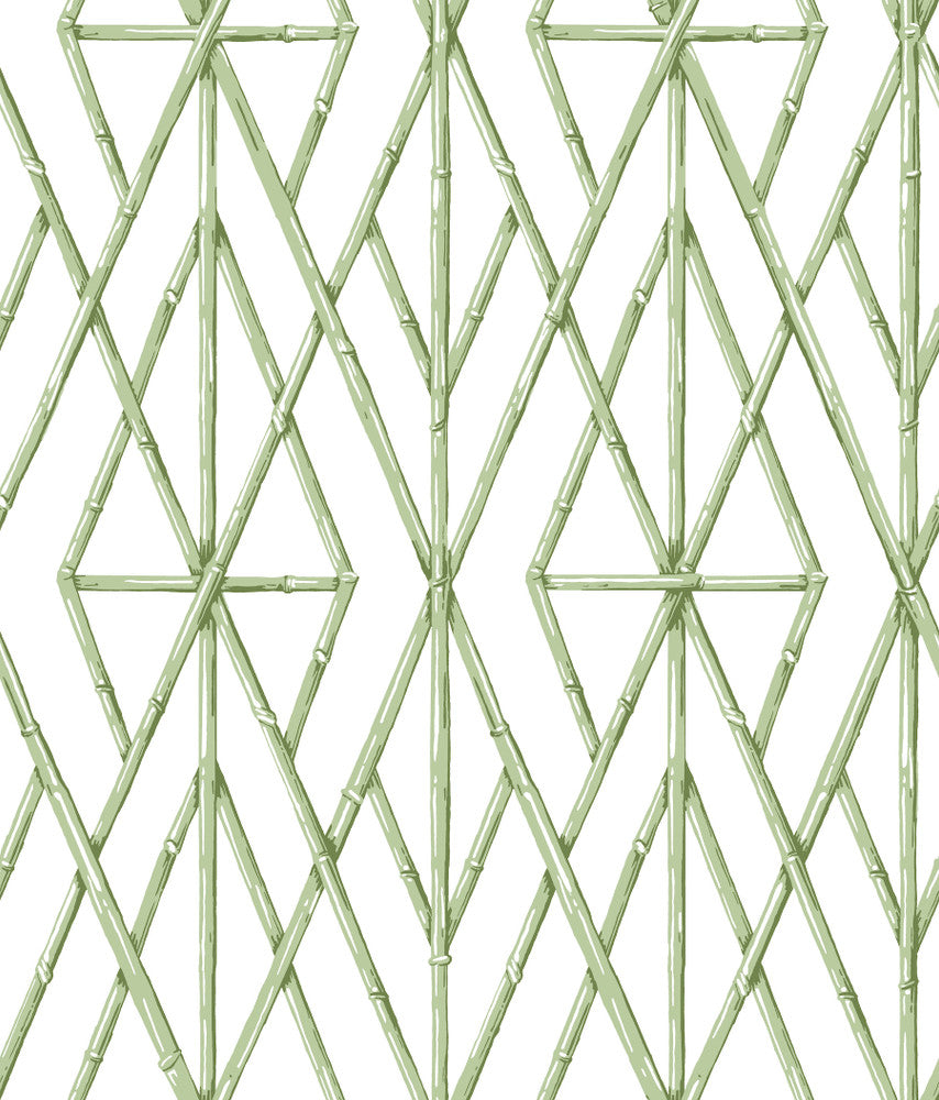 Riviera Bamboo Trellis Green Wallpaper by York Wallcoverings Water's Edge Resource Library Covers about 56.4 square feet 20.5-in by 33-ft long roll Prepasted 24 - Fabric Carolina -