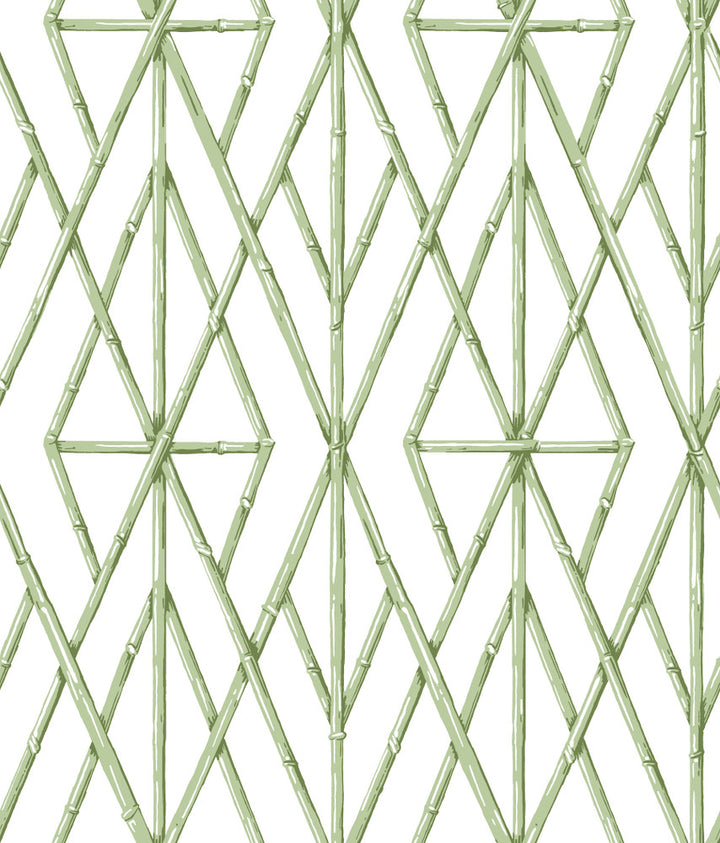 Riviera Bamboo Trellis Green Wallpaper by York Wallcoverings Water's Edge Resource Library Covers about 56.4 square feet 20.5-in by 33-ft long roll Prepasted 24 - Fabric Carolina -