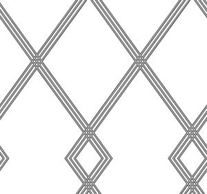 Ribbon Stripe Trellis White & Black Wallpaper by Inspired by Color