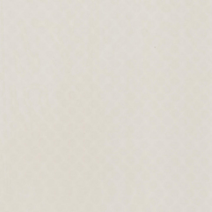 Cylinder 1 Pumice by Stout Fabric Stout Fabric Cylinder 1 PumiceFabric Daydreams 100%Pol Turkey </p><p>Repeat: H: 0, V: 0 118 in - Fabric Carolina -