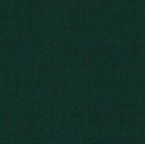 SJA 3999 137 Solids Calathea