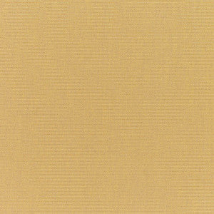 5484 Canvas Brass by Sunbrella Fabric