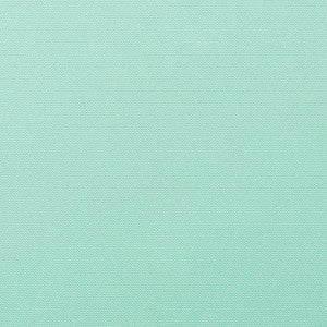 5428 Canvas Glacier by Sunbrella Fabric