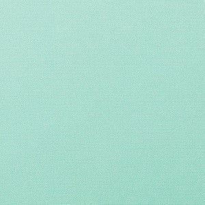 5428 Canvas Glacier by Sunbrella Fabric